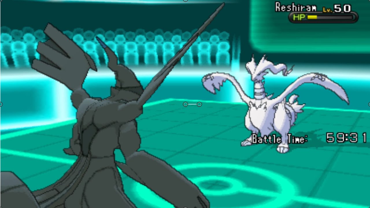 Reshiram and Zekrom Event on Nintendo Wi-Fi Connection 