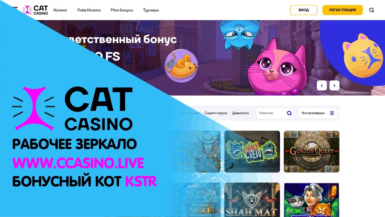 Cat casino промокод кетказиноплей site