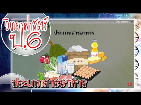 Video ประเภท ของ อาหาร ไทย