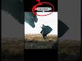 Jon Snow wasn't bluffing #foryou #viral #leadership