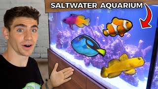 His *DREAM* SALTWATER AQUARIUM!! ... (150 Gallons)