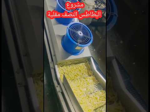 مشروع رقم ١٠ إنتاج بطاطس نصف مقلية فكرة مشروع مربح أفكار 