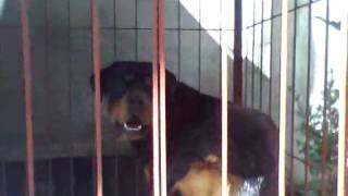 Capture 20091129 1