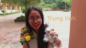 Công tác xã hội nhóm - Nhóm Phát triển K11