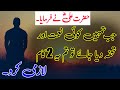 Hazrat ali quotes  best quotes of hazrat ali ra  aqwal e zareen  urdu quotes  quotations