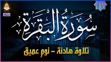 سورة البقرة طاردة الشياطين💚 راحة نفسية 🎧 - طمأنينة 💚 - تهدئة الأعصاب 😴 Quran Surah Al Baqarah