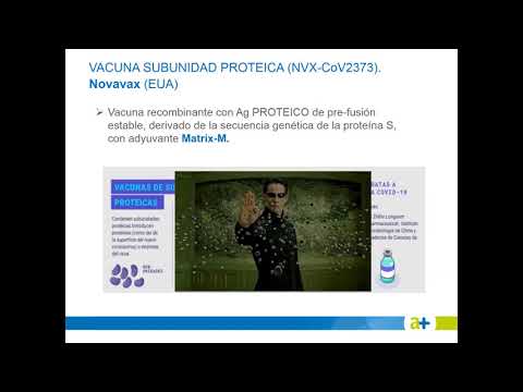 Vídeo: Les Mascotes També Formen Part De La Controvèrsia Sobre Les Vacunes: Pesa Un Veterinari