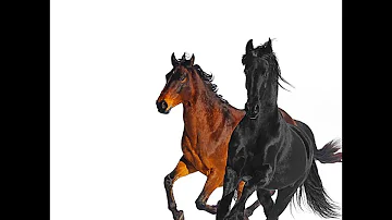 Old Town Road (Remix) - Lil Nas X (Feat. Billy Ray Cyrus) Clean Version