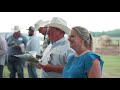 2023 inaugural brahman country genetics female sale highlights