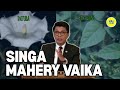 TANDREVAKA LOATRA ITY FITONDRANA ITY TANDREVAKA LOATRA ITY FITONDRANA ITY