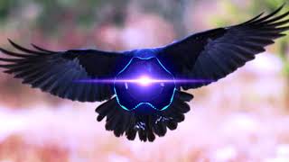 Dj burung gagak entah apa yang merasukimu yang lagi viral