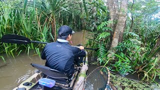 MENCOBA MENCARI TOMAN DI RAWA-RAWA TENGAH HUTAN ..!!! FISHING &amp; CAMPING