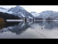 Arosa Arosa