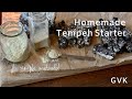 Homemade Tempeh Starter