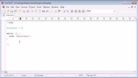 Beginner PHP Tutorial - 24 - while Loop