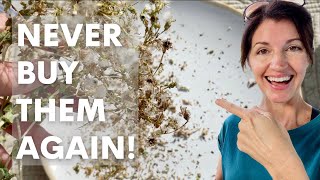 The Easiest Way to Save Lettuce Seeds! / How to Harvest Lettuce Seeds FAST!