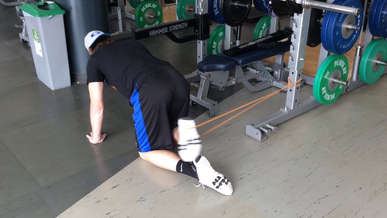 Band Hip Internal Rotation - Quadruped camera iphone 8 plus apk