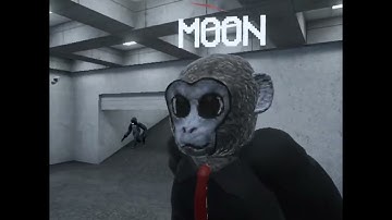 Lethal ape but with my friend