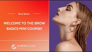 It's all about brows! Welcome to the Brow Basics Course