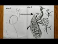 How to draw a peacock step by stepeasy peacock drawinghow to draw a peacock by pencil sketch