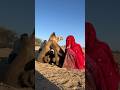 ع ن د ٱل اق ت ر اب ت ب ي ن أ ن ش ي ئ ا ع ال ق ف ي ذ ي ل ٱل ج م ل ف ج ع ل ت م ع ان ات ه
