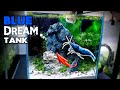 Aquascape tutorial blue dream shrimp nano cube how to planted aquarium step by step setup