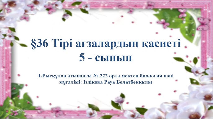 Олар қаңғыбастардың аузына тығылады