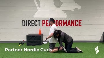 Partner Nordic Curls
