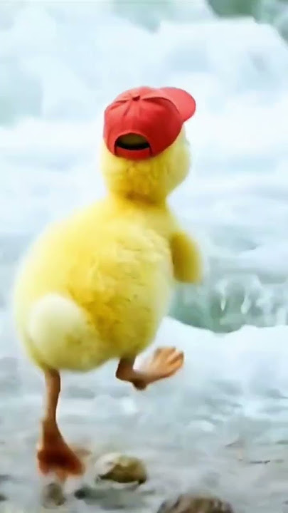 cerita moral anak bebek dan kelinci #shorts #animals #animation