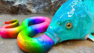 Catch giant frogs, Betta Fish, turtles - ASMR Stop Motion Primitive Cooking 4K