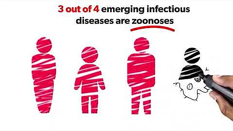 How did the animal virus that led to COVID-19 jump species?