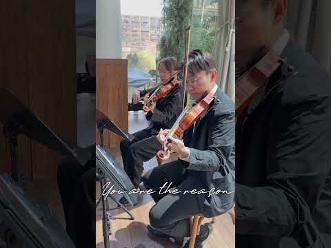 #婚禮演奏 String Trio | You are the reason @The Glass Hall | Felice Studio Wedding Live Band #hkwedding