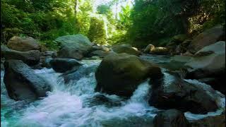 Gemuruh Sungai Berbatu | Suara Air Murni untuk Ketenangan Pikiran & Fokus
