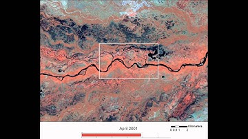 Taquari Avulsion Animation 2 Splays - JSR 2011.mpg