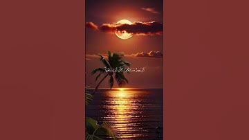 يسمع ءايات الله تتلى عليه(تلاوة من سورة الجاثية )🌿قرآن كريم 🌿