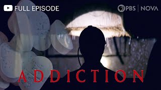 Addiction I Full Documentary I Nova I Pbs