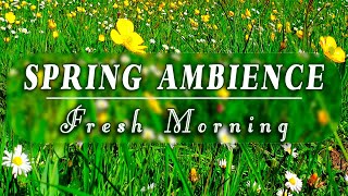 GOOD MORNING SPRINGNature Therapy to Start Your Day w Positive EnergyFresh Morning Ambience#1