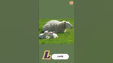 ABC Farm Animals Song - Part 2: H to L - #singing & #learning #abcd together