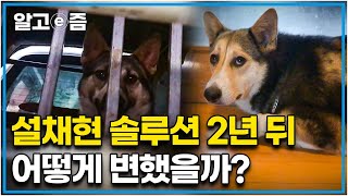 살아남기 위해 지옥 같던 차 트렁크에서 스스로 도망쳤던 호선이. 설채현 수의사를 만나고 2년 뒤 어떻게 변했을까?┃세상에 나쁜 개는 없다┃알고e즘