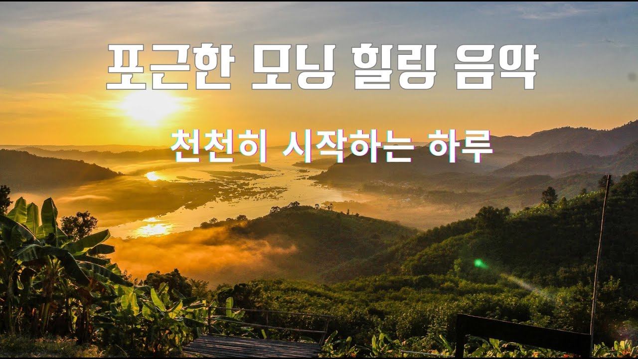 🌿서두르지 않아도 괜찮은 아침,잔잔하게 흐르는 멜로디가 마음을 천천히 깨워줍니다.🌿