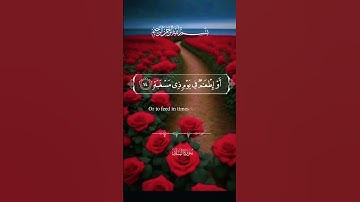 ( ألم نجعل له عينين ولسانا وشفتين وهديناه النجدين) (سورة البلد) (تلاوة خاشعة) (محمد صديق المنشاوي)