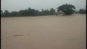 Hujan Hampir 5 jam lebih begini jadinya (BANJIR BANDANG) desa sambeng kecamatan todanan blora