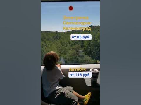 Цена проезда Светлогорск-Калининград | электричка VS автобус №118 - YouTube
