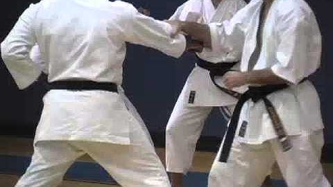 Down block jab kick reverse punch Master Mikami