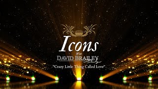 Crazy Little Thing Called Love (Live) - David Brailey