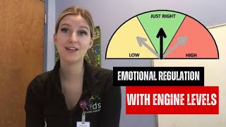 Engine Levels for Emotional Regulation