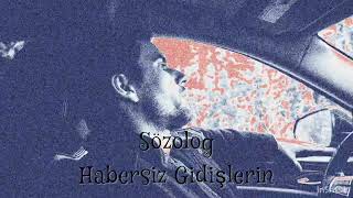 Sözolog - Habersiz Gidişlerin Resimi