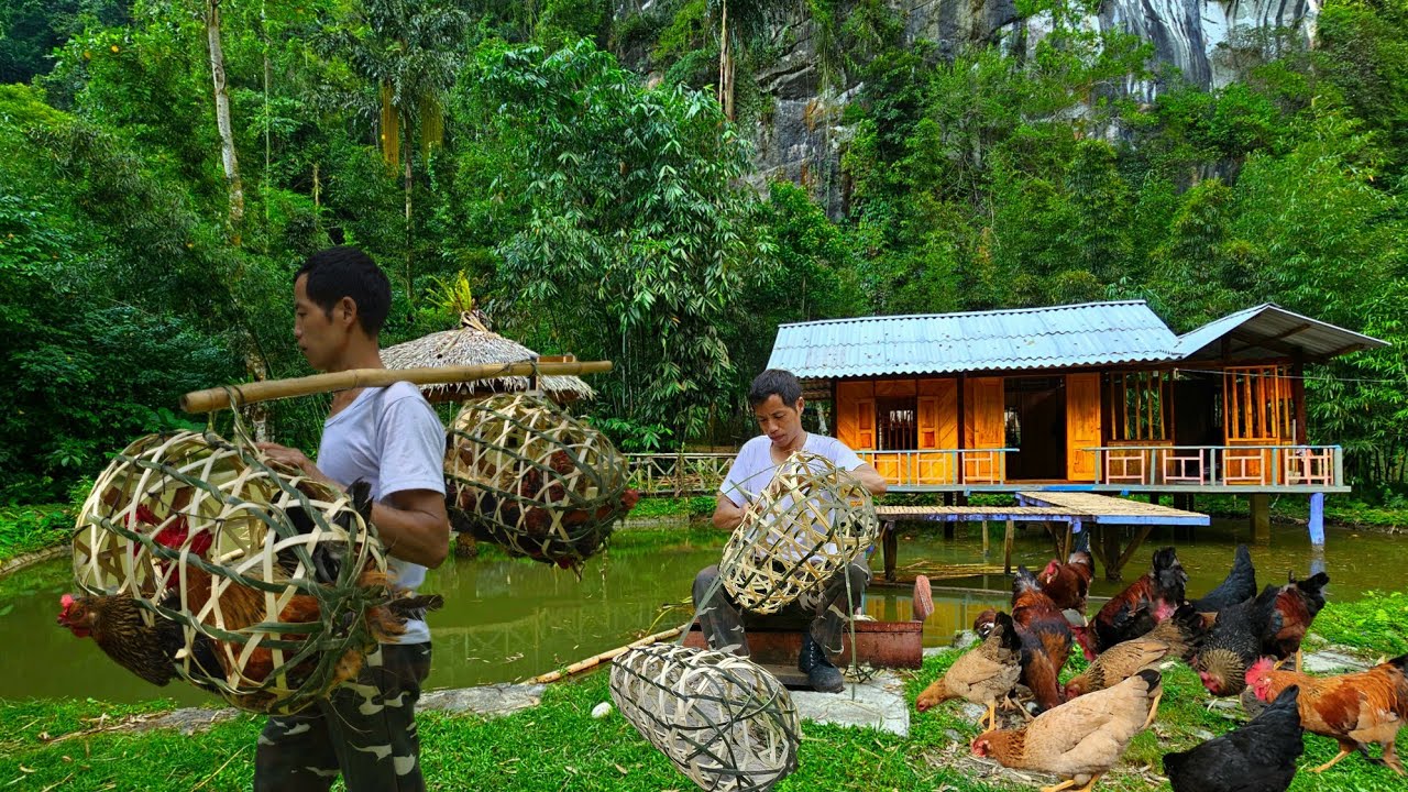 Billionaire CEO leaves the city for the forest. Repairs old house and starts raising chickens.