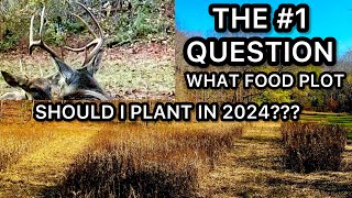 WHAT FOOD PLOTS TO PLANT IN 2024
