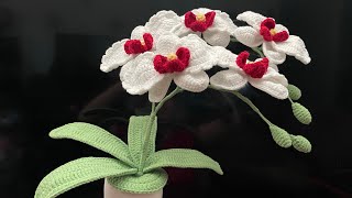 🥰3D💯Beautiful Crochet Orchids💯 step by step🥰